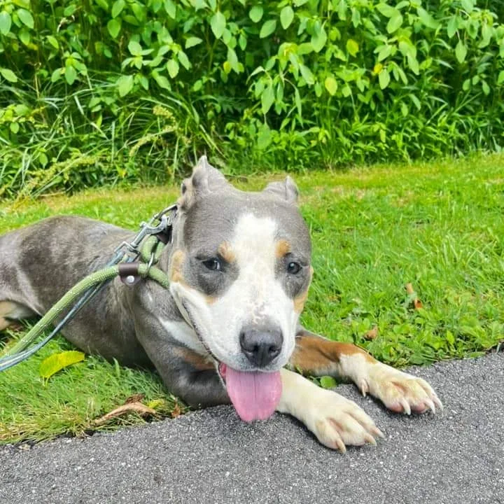 Sallie Mae thumbnail 2