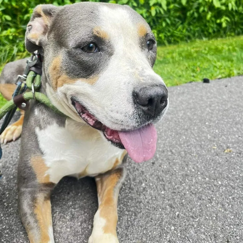 Sallie Mae thumbnail 3