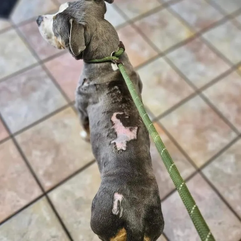 Sallie Mae thumbnail 4