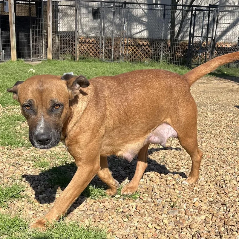 Mama Penny thumbnail 2