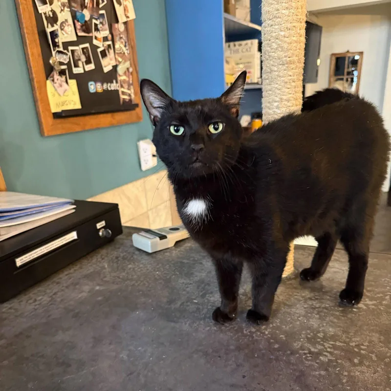 Hotel Howard thumbnail 2