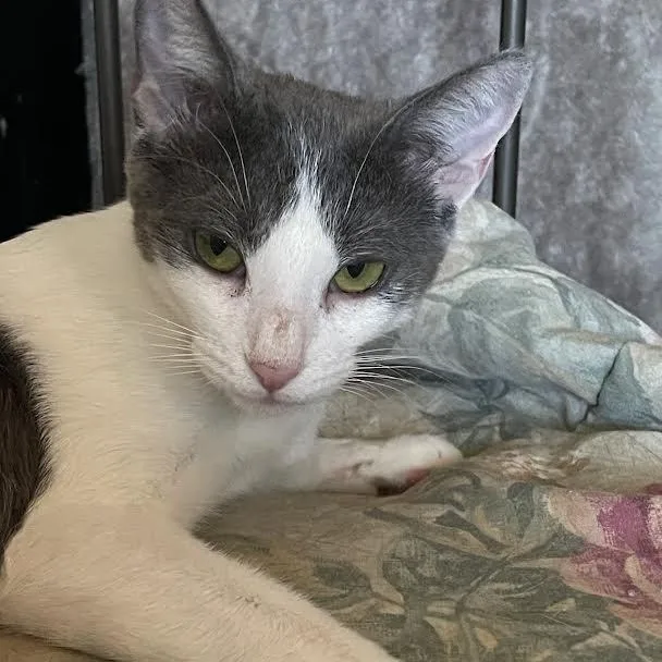 Momma  Jane  thumbnail 2