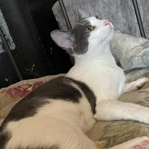 Momma  Jane  thumbnail 3