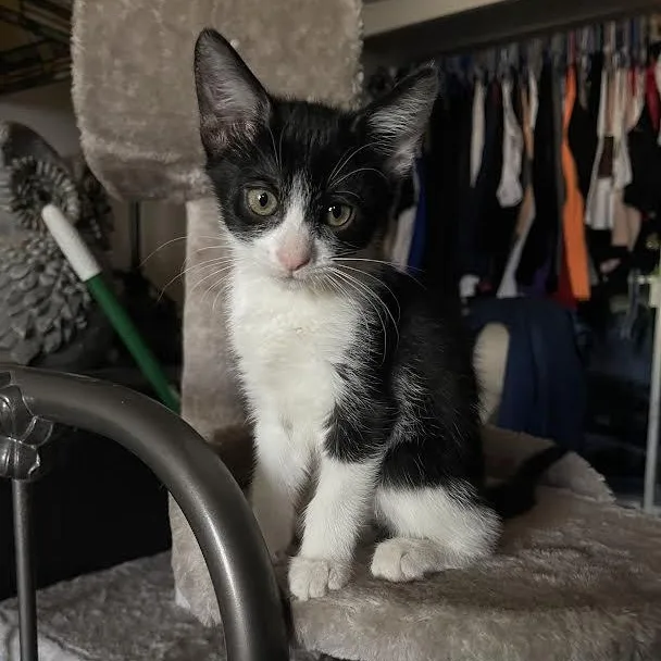 Momma  Jane  thumbnail 4