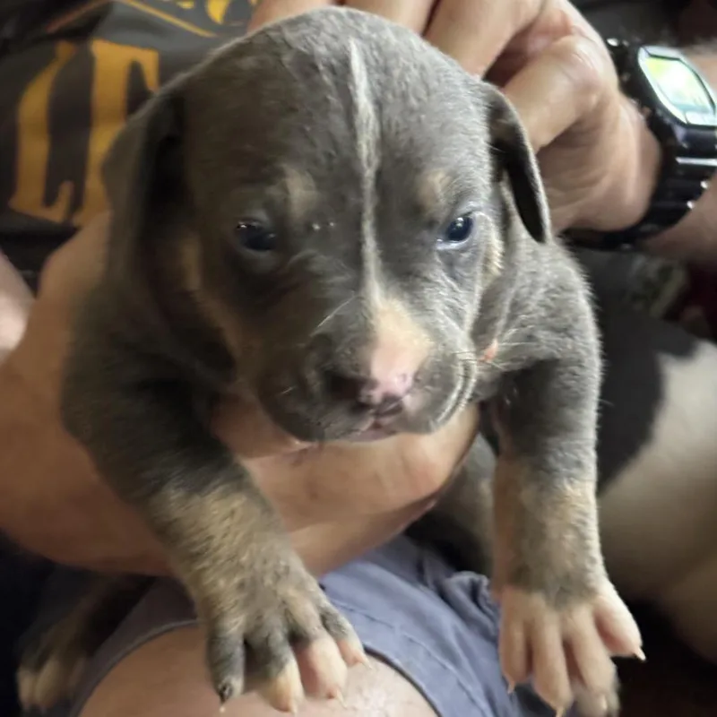 Tiny