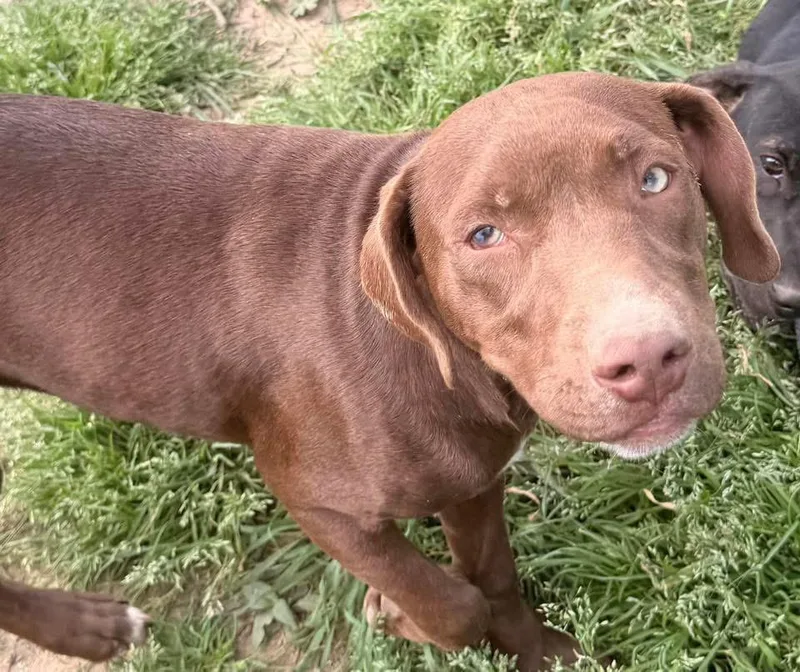 Siegfried thumbnail 2