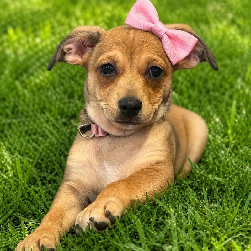 Laverne