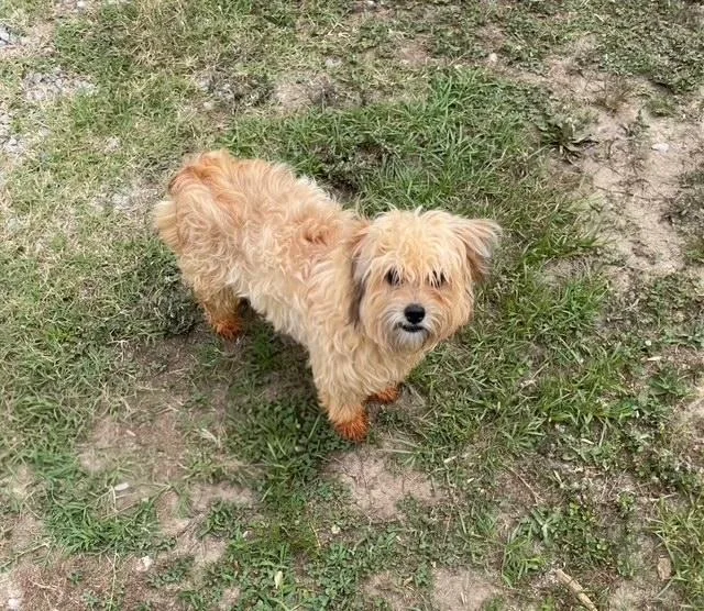 Huxley