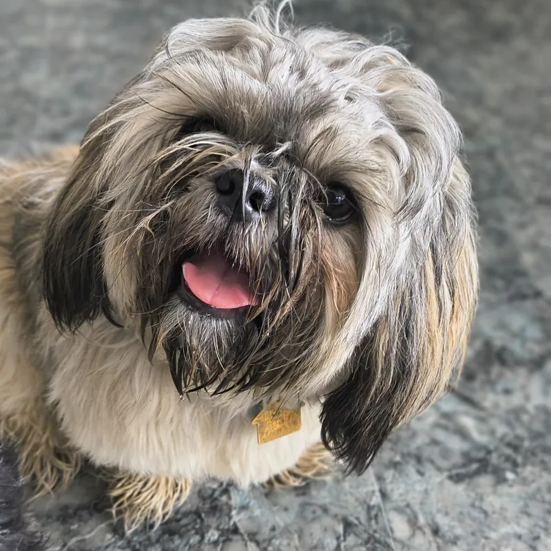 Spunky