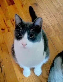 Sam Nibbles thumbnail 3