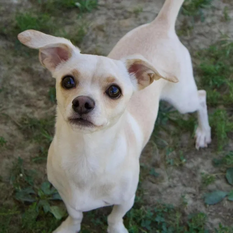 Sophie thumbnail 3