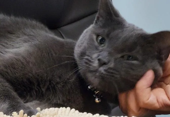 Nicky Slater thumbnail 5