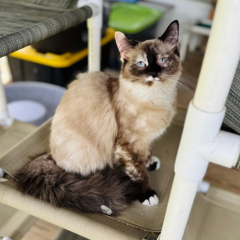 Padfolio thumbnail 2