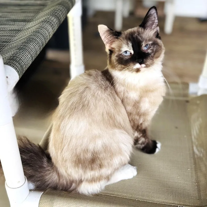 Padfolio thumbnail 3