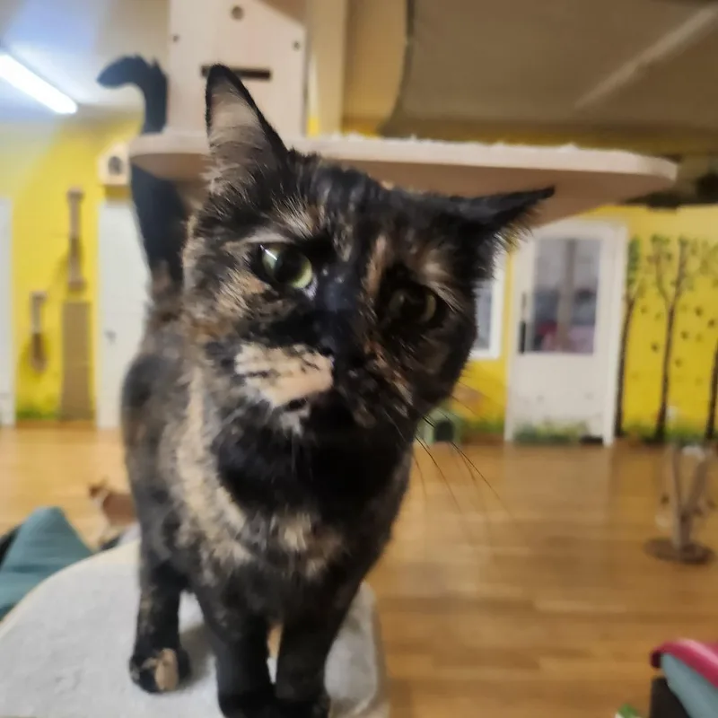 Sideways thumbnail 2