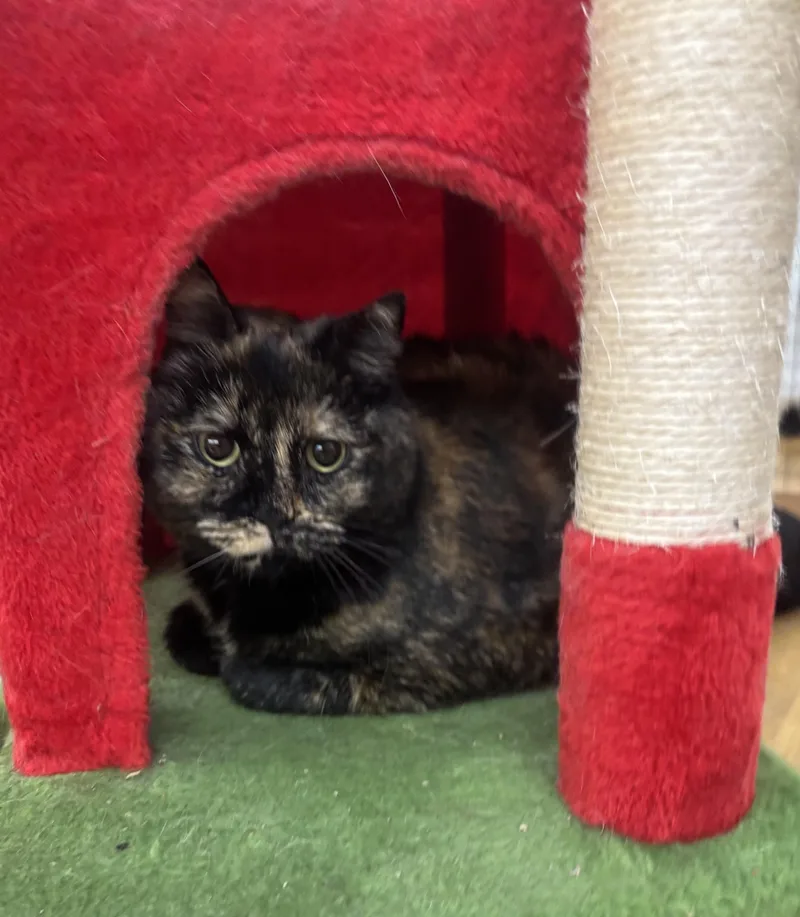 Sideways thumbnail 3