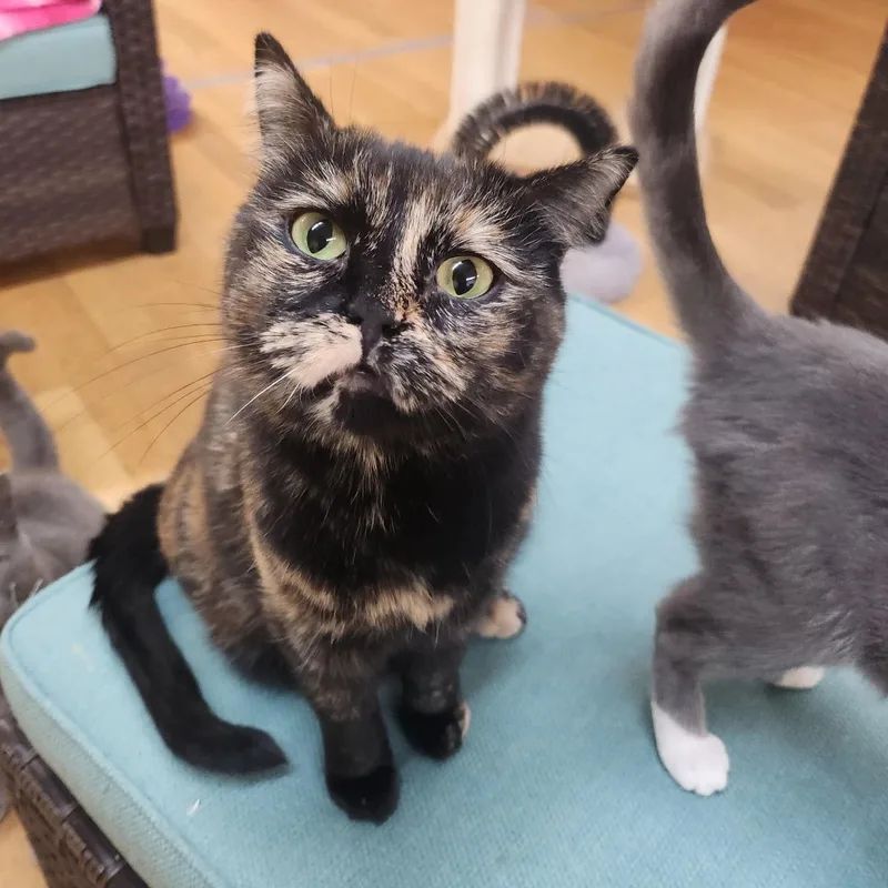 Sideways thumbnail 4