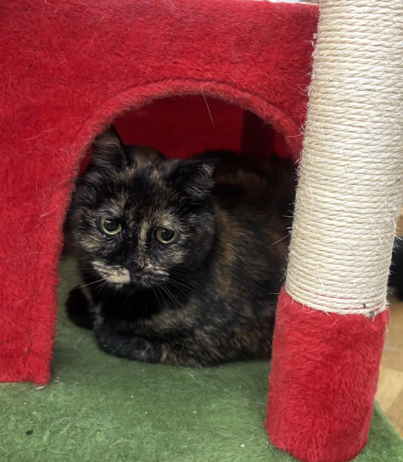 Sideways thumbnail 5