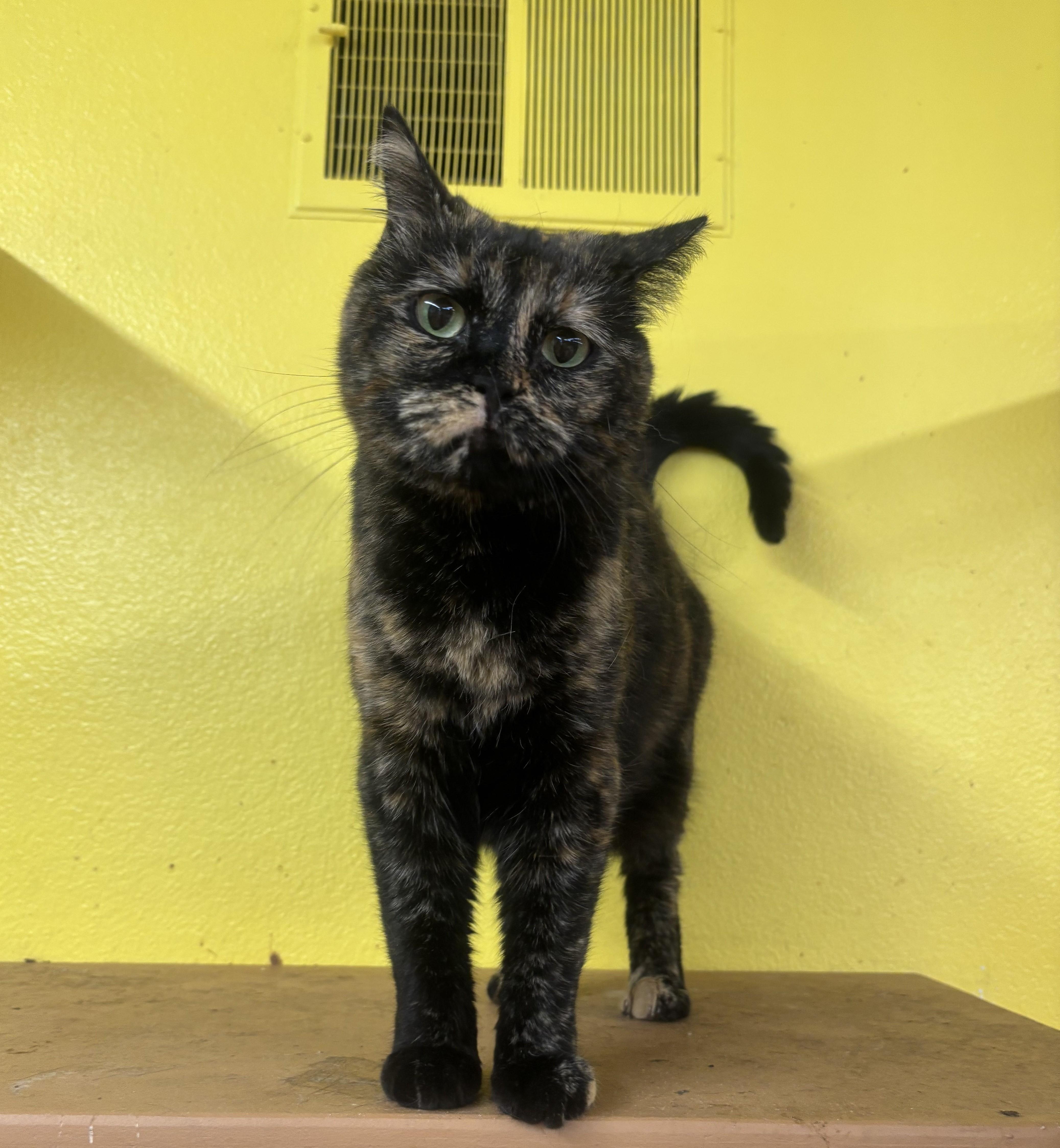 Sideways thumbnail 6