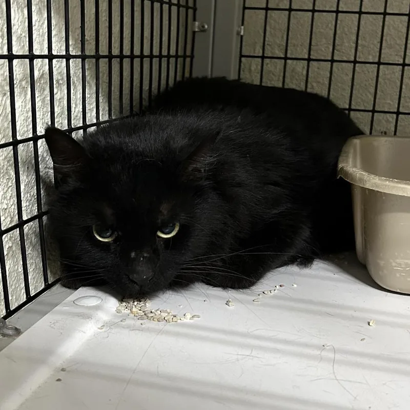 Katerina thumbnail 2