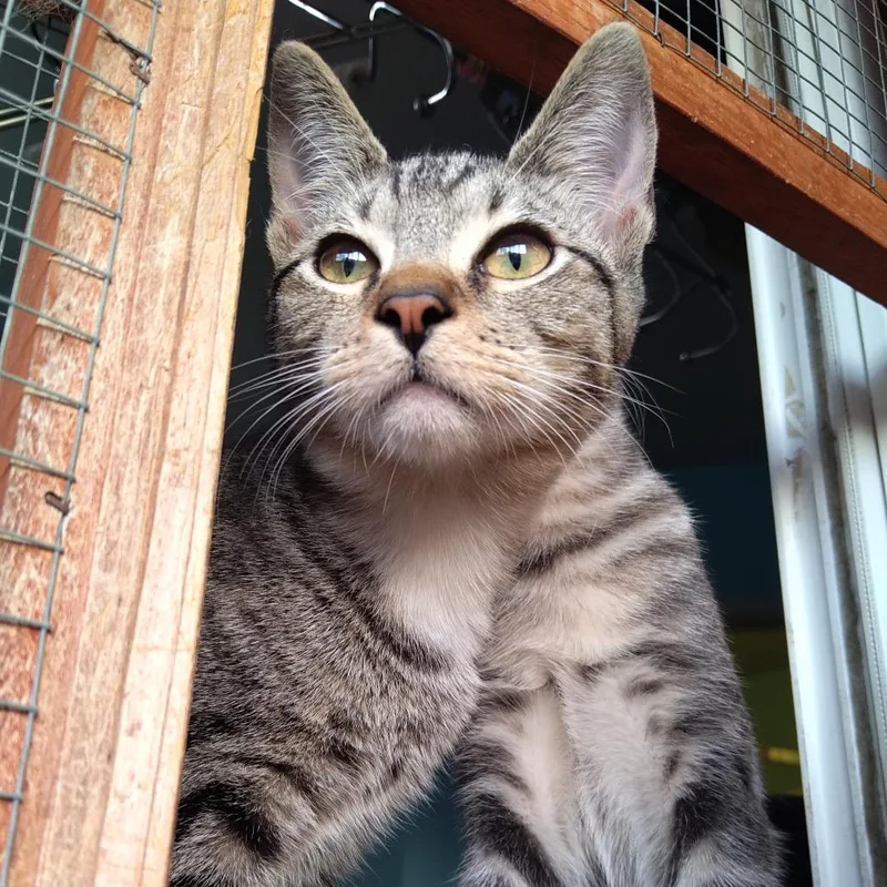 John Lennon thumbnail 3