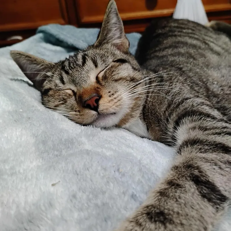 John Lennon thumbnail 4