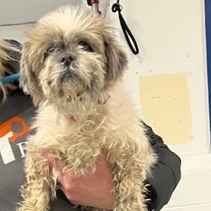 Chloe Float thumbnail 2