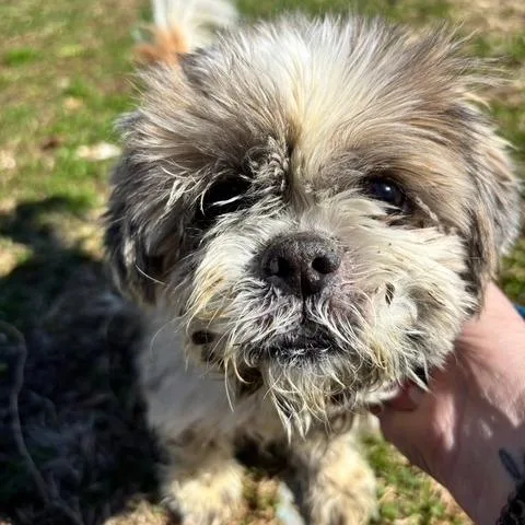 Chloe Float thumbnail 3