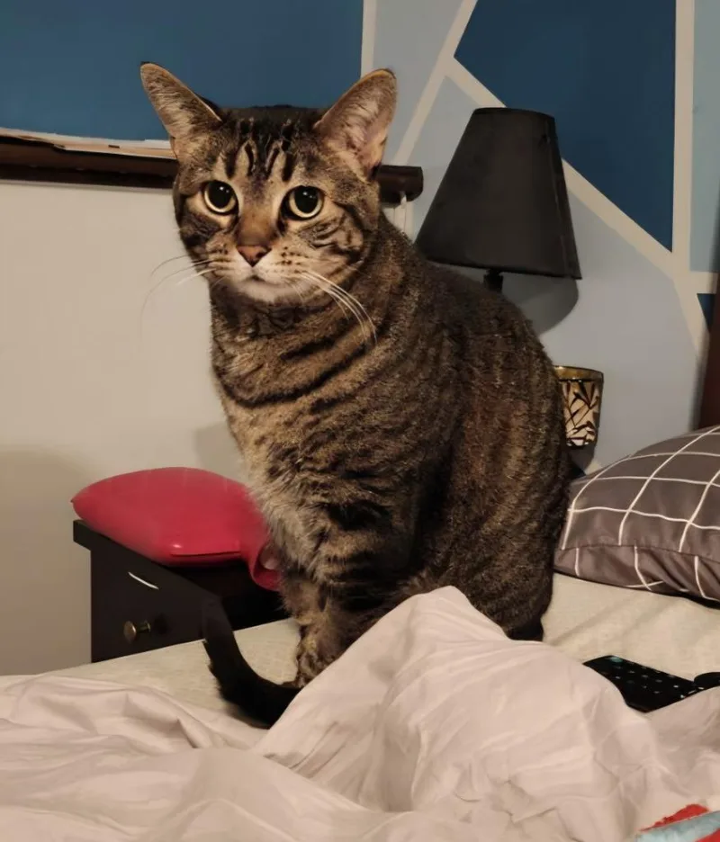 Tabitha thumbnail 2