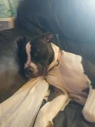 Precious