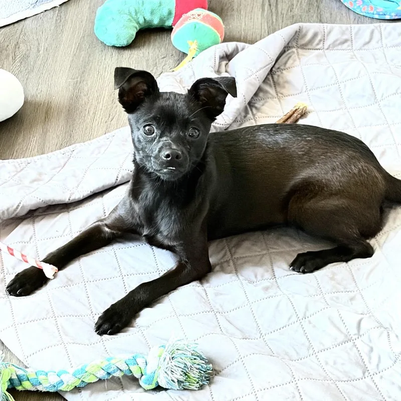 Berklie thumbnail 2
