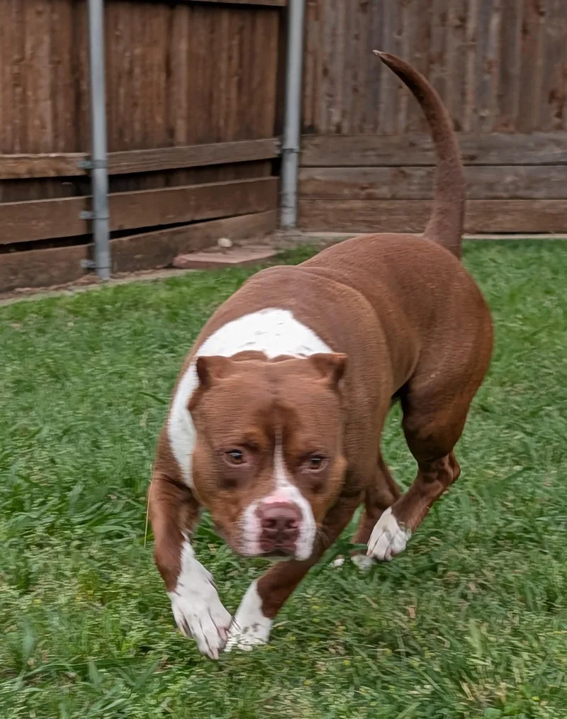 Frasier A thumbnail 2