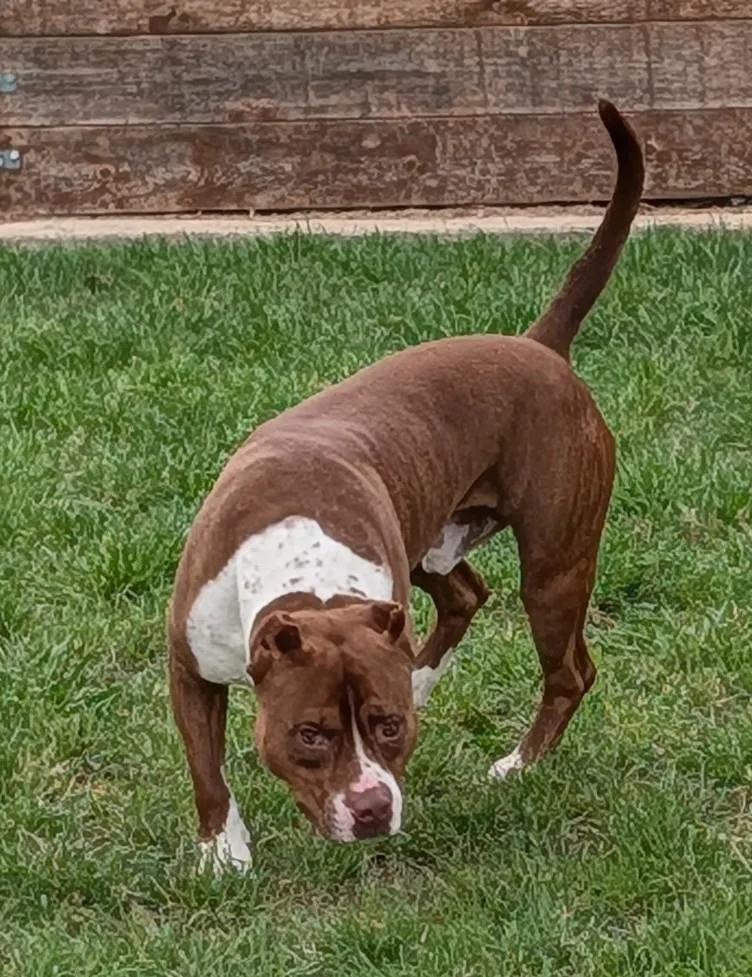 Frasier A thumbnail 3