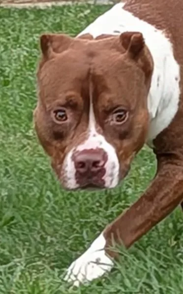 Frasier A thumbnail 4