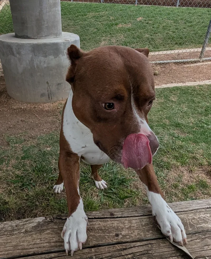 Frasier A thumbnail 5