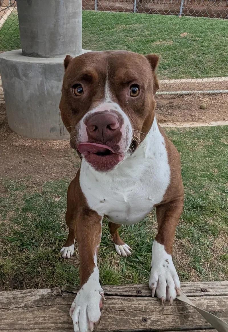 Frasier A thumbnail 6