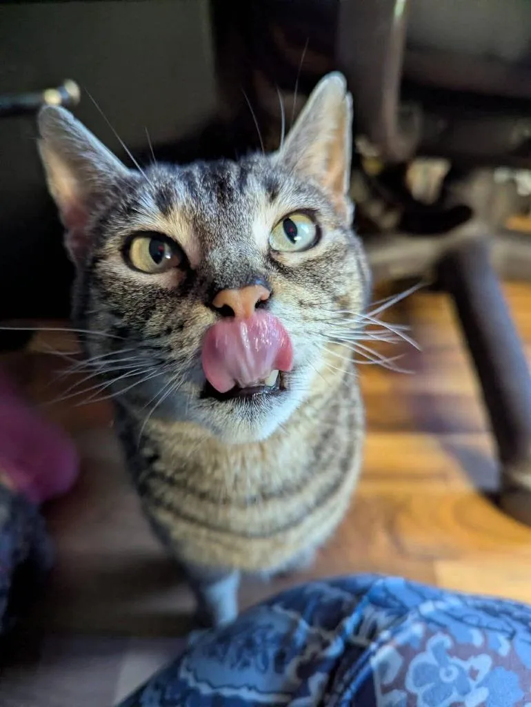 Mama Molly