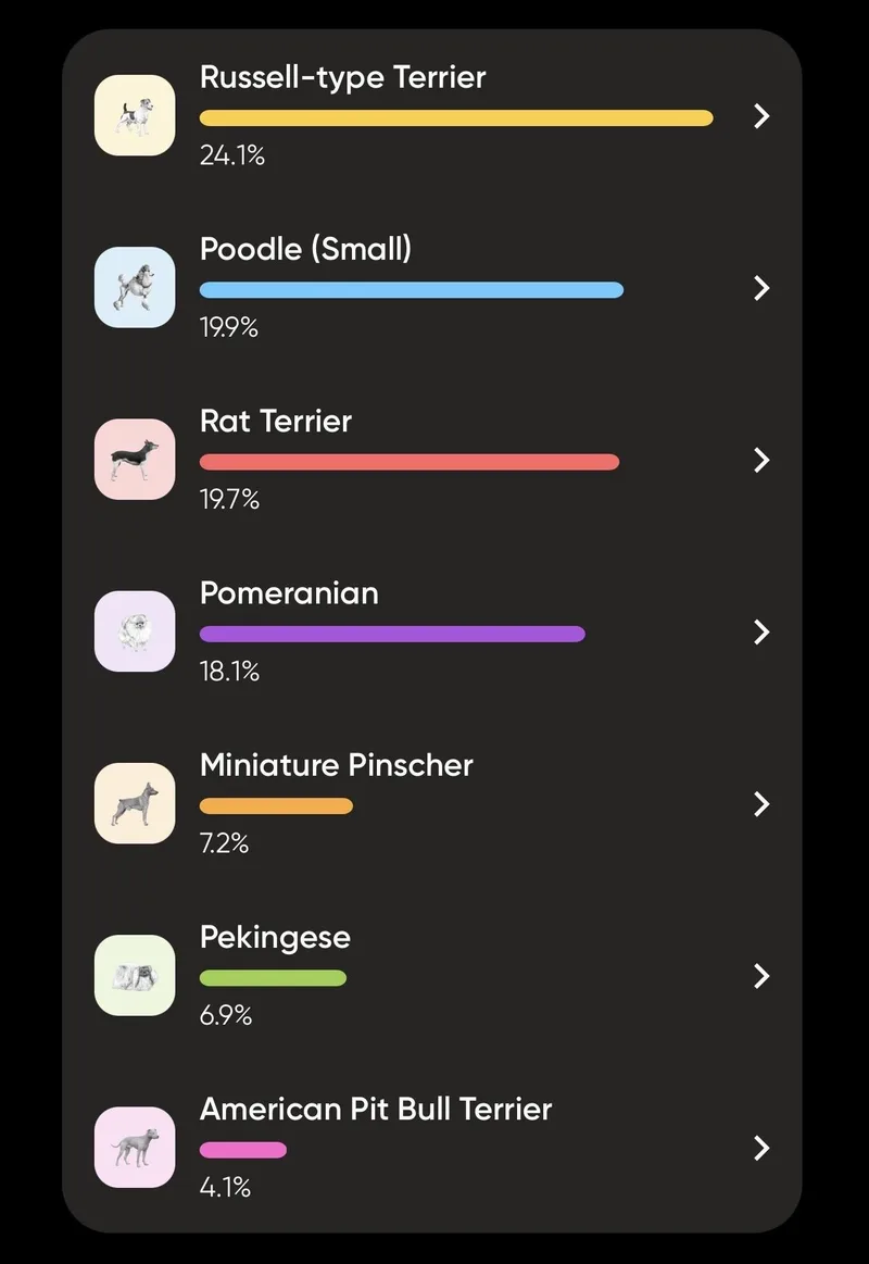 Clove  Spice Litter thumbnail 3