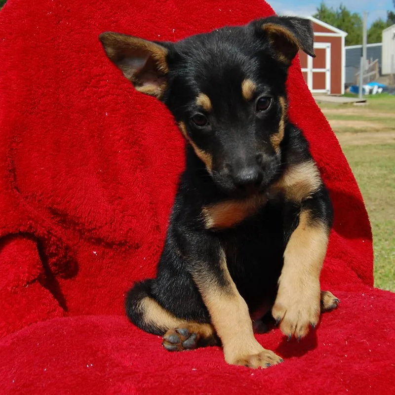 Ct Monopoly thumbnail 2