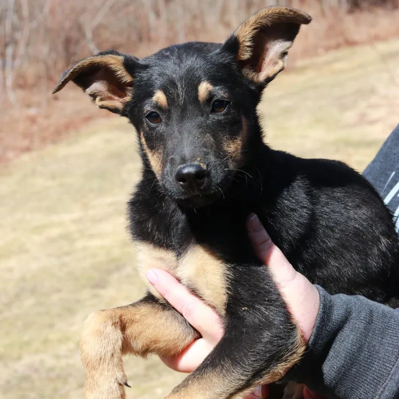 Ct Monopoly thumbnail 5