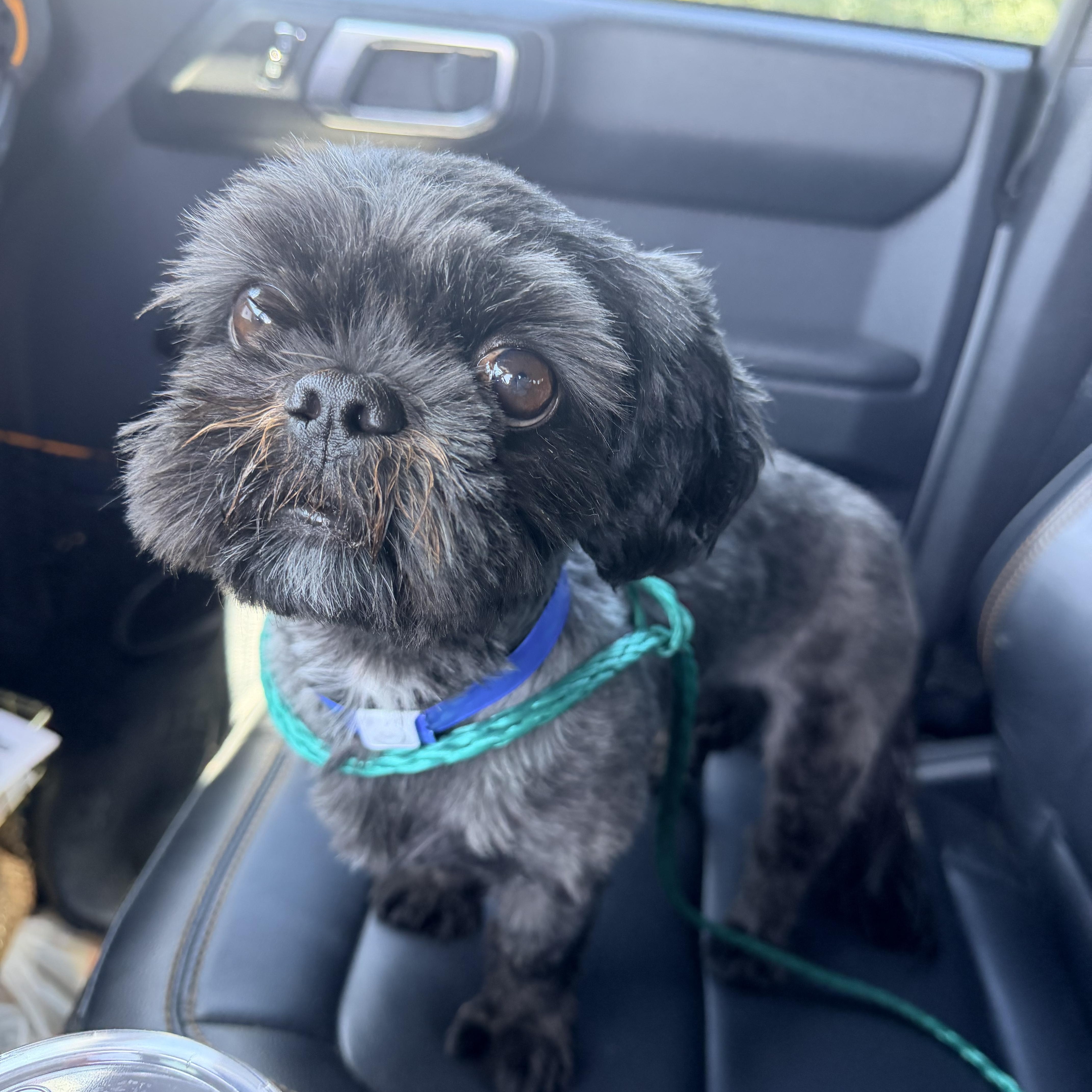 Milo