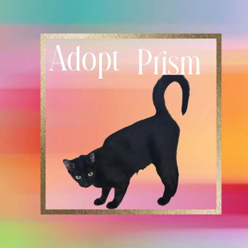 Prism thumbnail 3