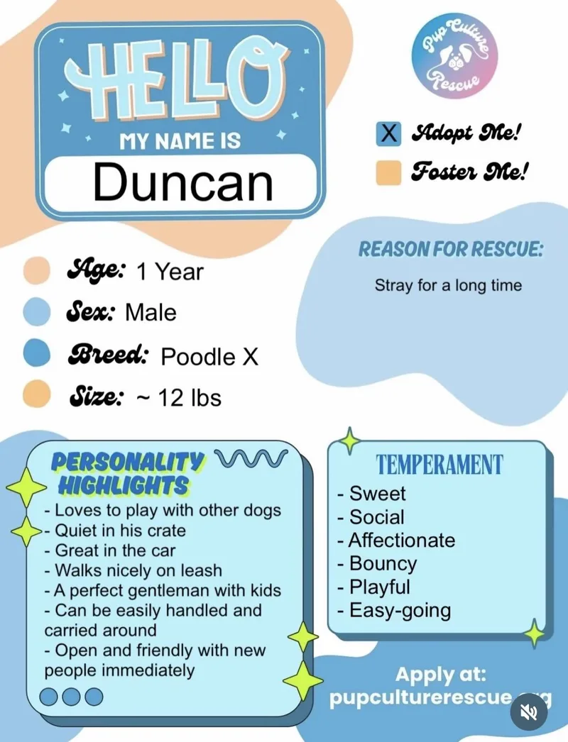 Duncan thumbnail 5