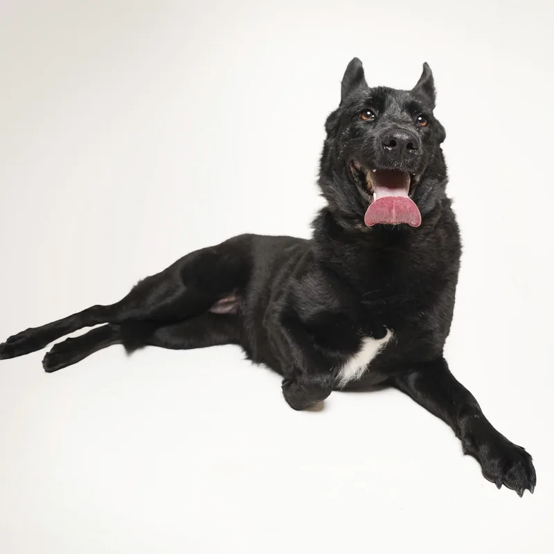 Stevie Nicks thumbnail 3