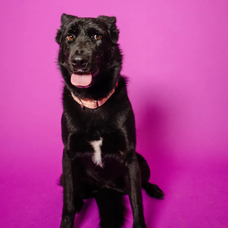 Stevie Nicks thumbnail 5