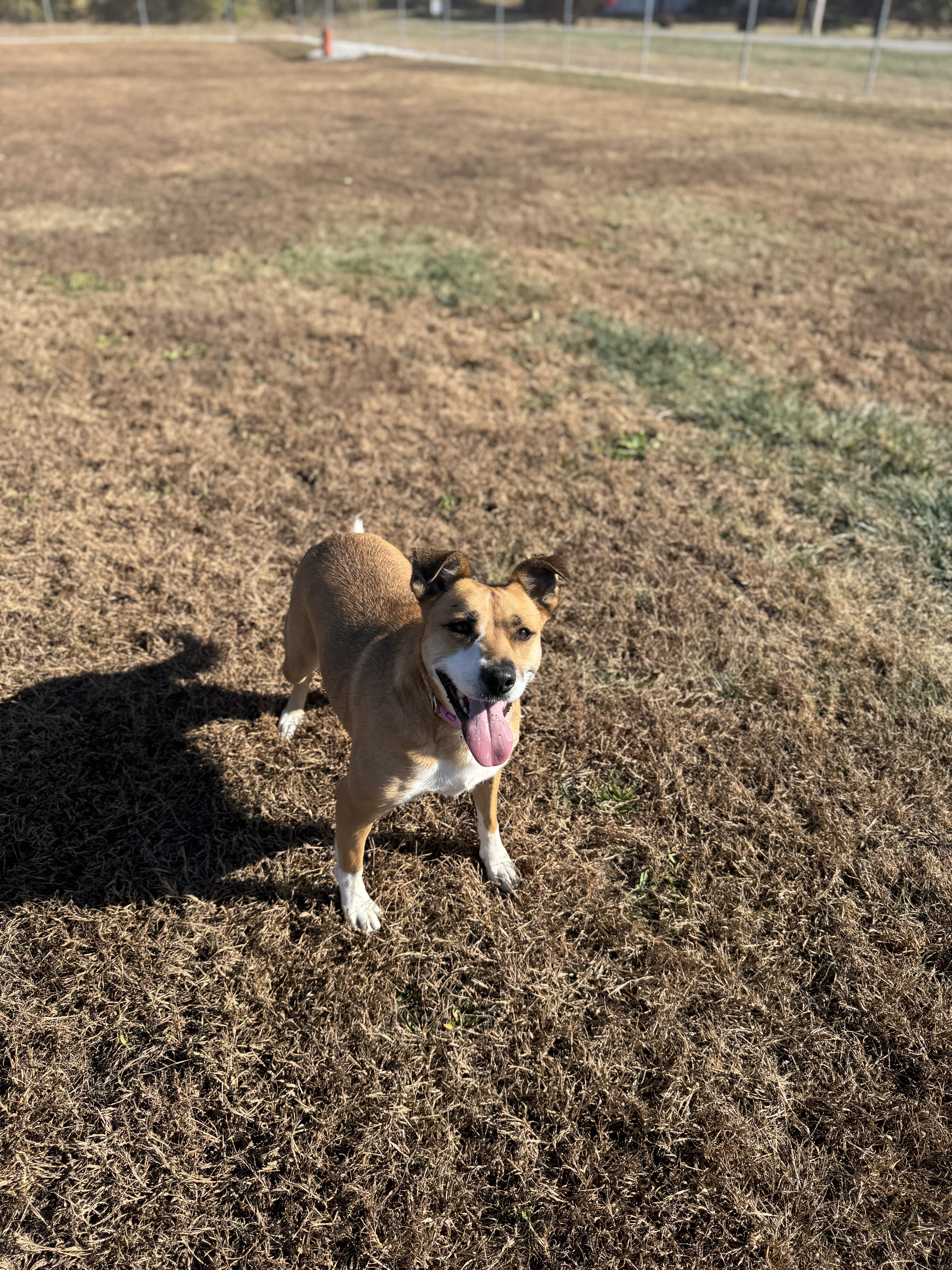 Margaret thumbnail 2