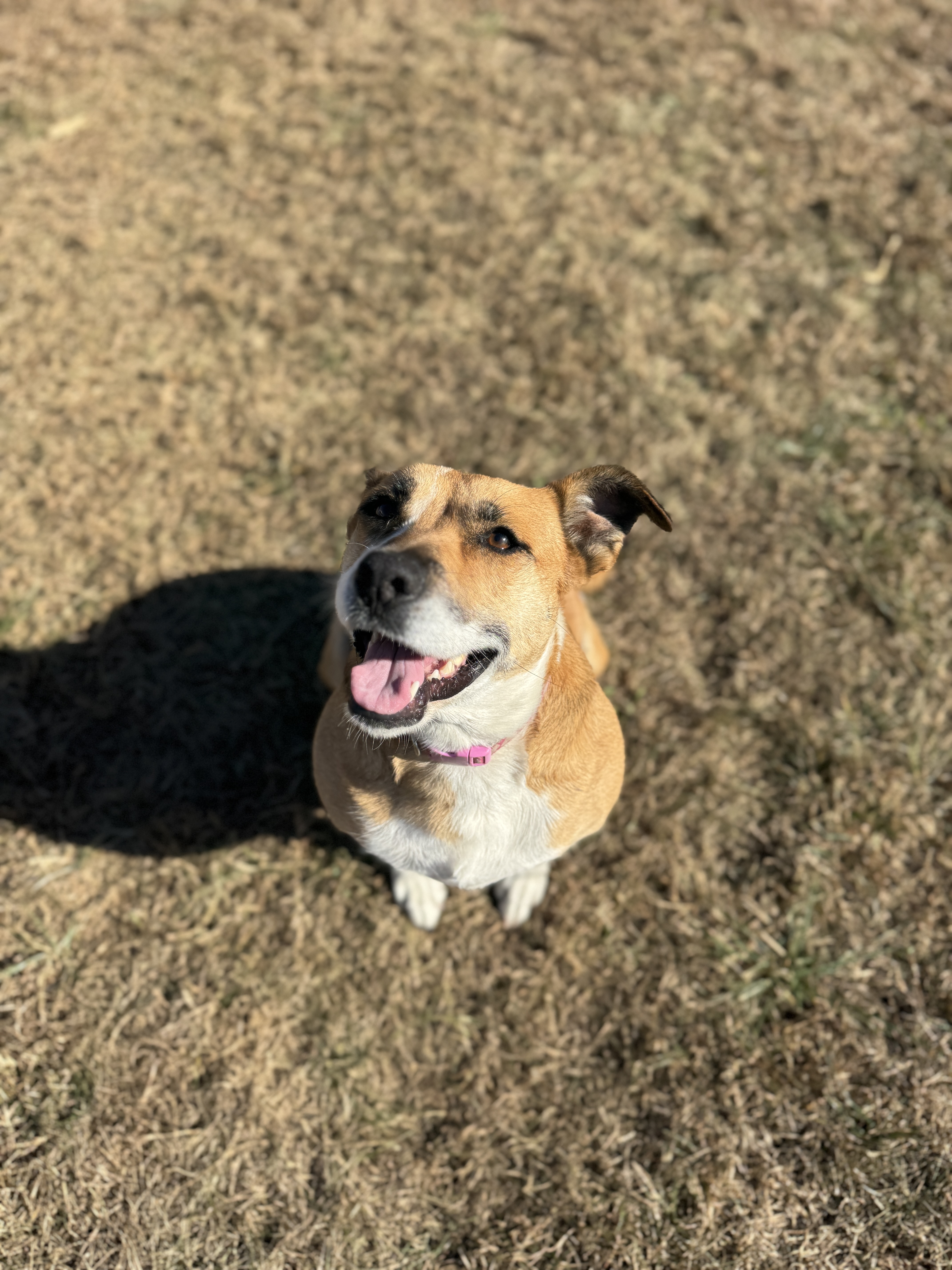 Margaret thumbnail 3