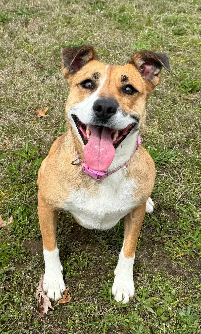 Margaret thumbnail 4