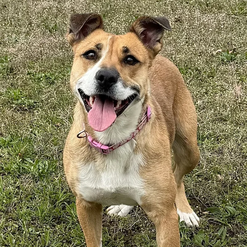 Margaret thumbnail 5