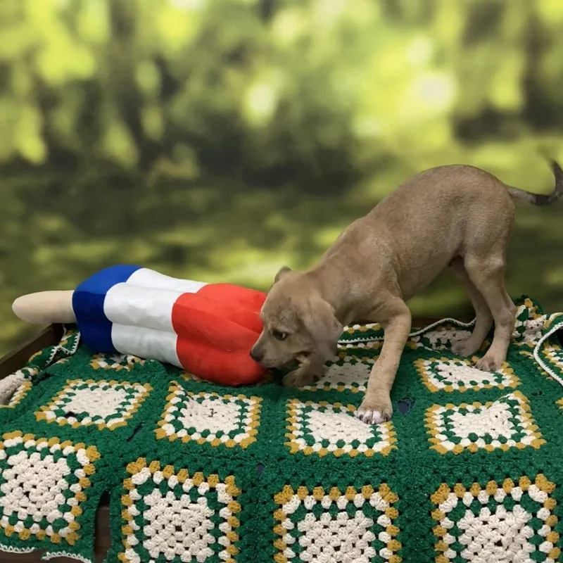 Tucker thumbnail 4